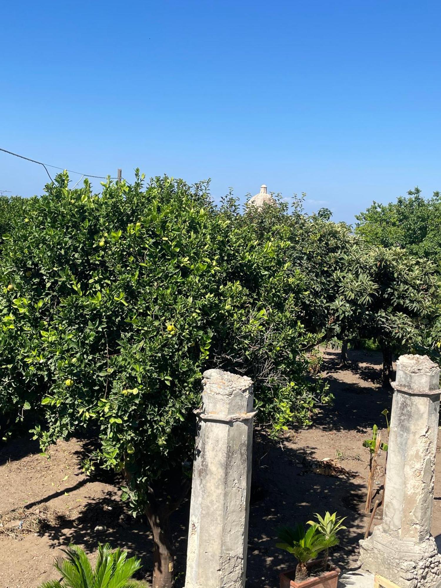 Tenuta La Torre Tropea Esterno foto